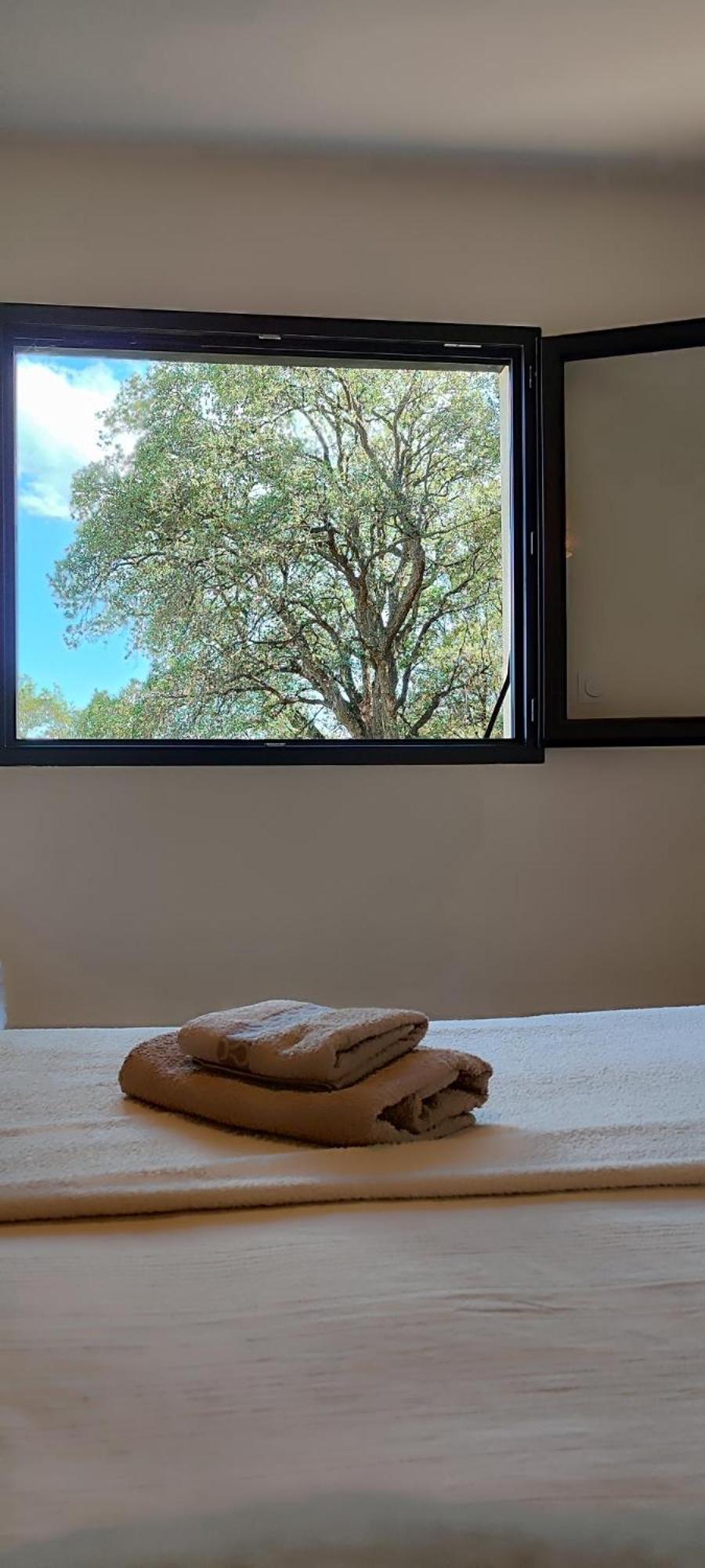 Casa Di Cortanni Apartment Castellare-di-Casinca Bagian luar foto